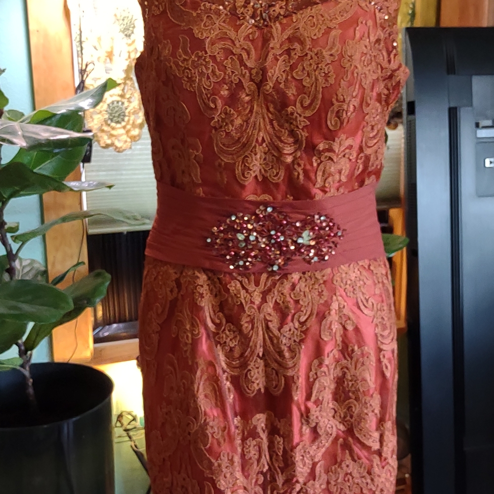Lace Embellished Midi Dress in Rust